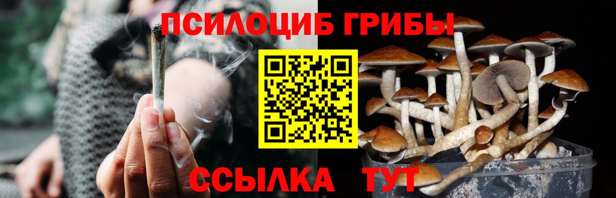 Псилоцибиновые грибы мицелий  Галлюциногенные грибы Magic Shrooms  Белорецк  Вход с VPN 